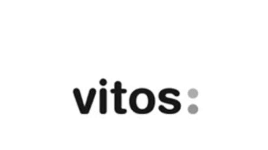 Reorganisation Leitungsstruktur: begleitende Befragungen, Vitos GmbH